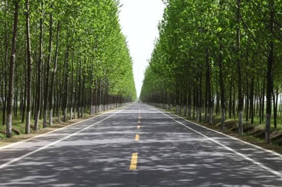 公路、綠化、廣場(chǎng)工程